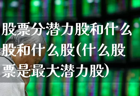 股票分潜力股和什么股和什么股(什么股票是最大潜力股)_https://www.haiwangdasha.com_北交所_第1张