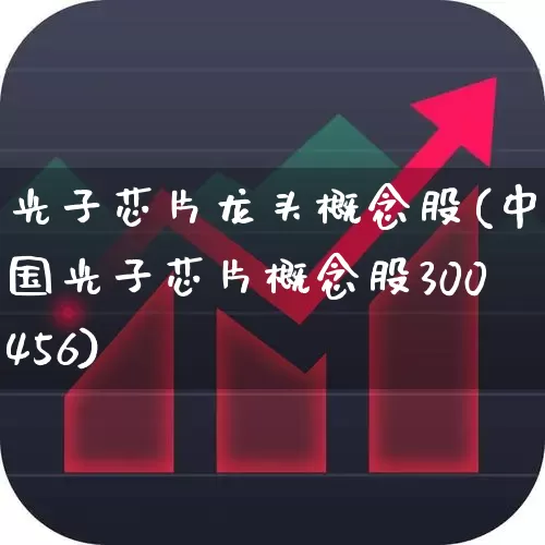 光子芯片龙头概念股(中国光子芯片概念股300456)_https://www.haiwangdasha.com_北交所_第1张
