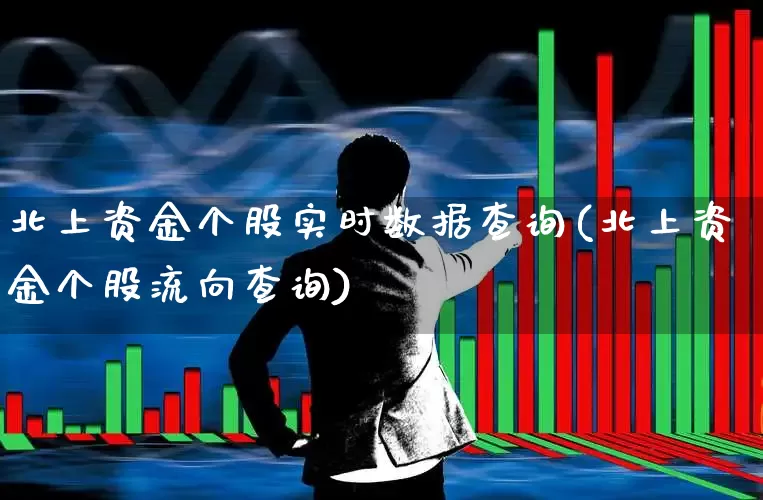 北上资金个股实时数据查询(北上资金个股流向查询)_https://www.haiwangdasha.com_上交所_第1张