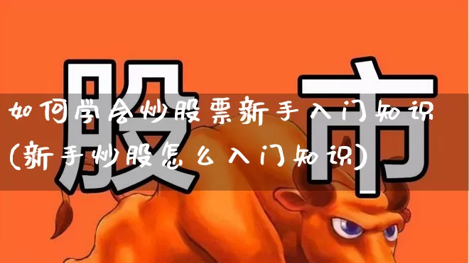 如何学会炒股票新手入门知识(新手炒股怎么入门知识)_https://www.haiwangdasha.com_北交所_第1张