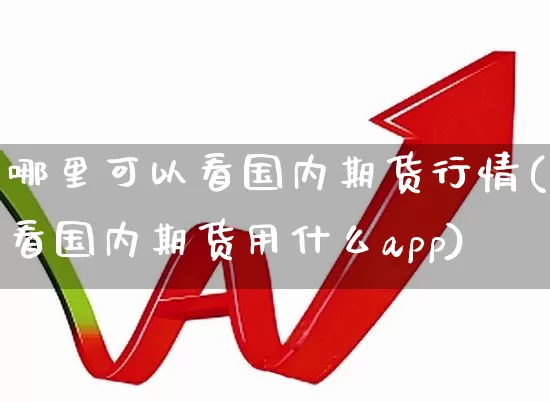 哪里可以看国内期货行情(看国内期货用什么app)_https://www.haiwangdasha.com_郑商所_第1张