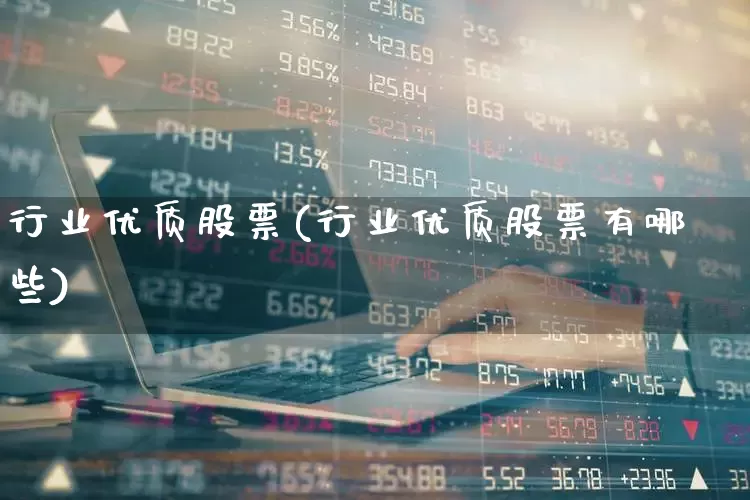 行业优质股票(行业优质股票有哪些)_https://www.haiwangdasha.com_北交所_第1张