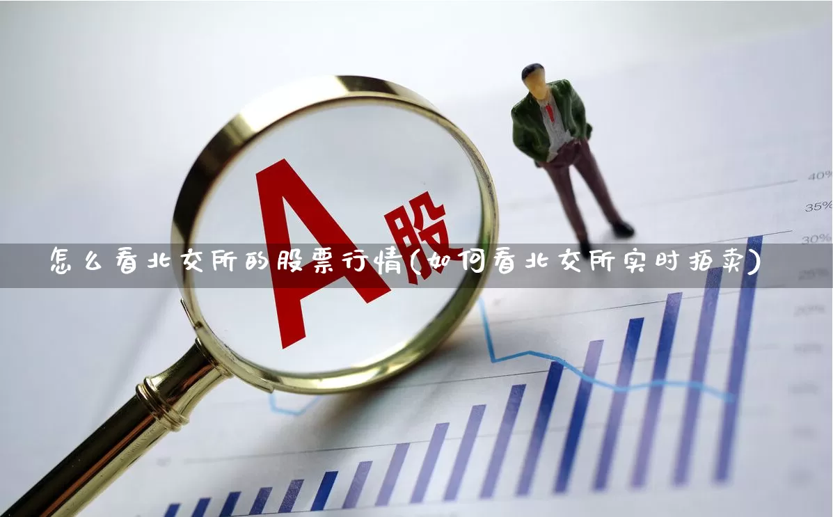 怎么看北交所的股票行情(如何看北交所实时拍卖)_https://www.haiwangdasha.com_深交所_第1张
