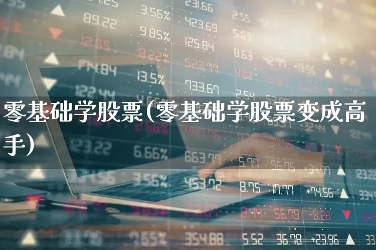 零基础学股票(零基础学股票变成高手)_https://www.haiwangdasha.com_北交所_第1张