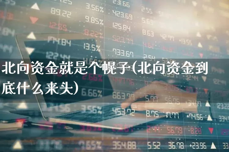 北向资金就是个幌子(北向资金到底什么来头)_https://www.haiwangdasha.com_深交所_第1张