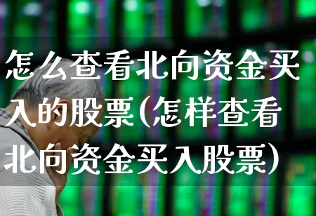 怎么查看北向资金买入的股票(怎样查看北向资金买入股票)_https://www.haiwangdasha.com_上交所_第1张