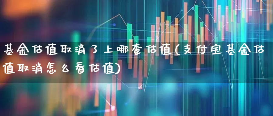 基金估值取消了上哪查估值(支付宝基金估值取消怎么看估值)_https://www.haiwangdasha.com_创业板_第1张