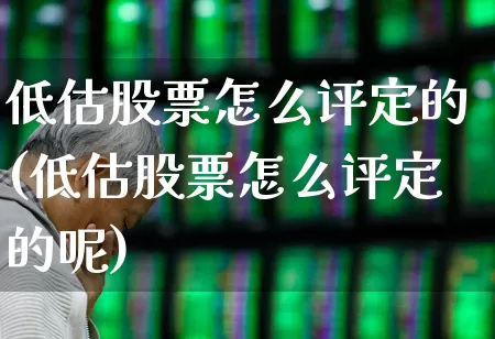 低估股票怎么评定的(低估股票怎么评定的呢)_https://www.haiwangdasha.com_创业板_第1张