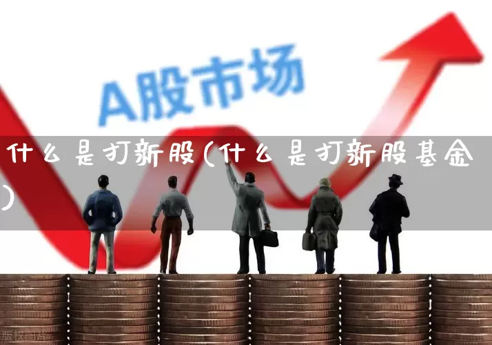 什么是打新股(什么是打新股基金)_https://www.haiwangdasha.com_科创板_第1张