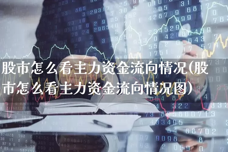 股市怎么看主力资金流向情况(股市怎么看主力资金流向情况图)_https://www.haiwangdasha.com_科创板_第1张