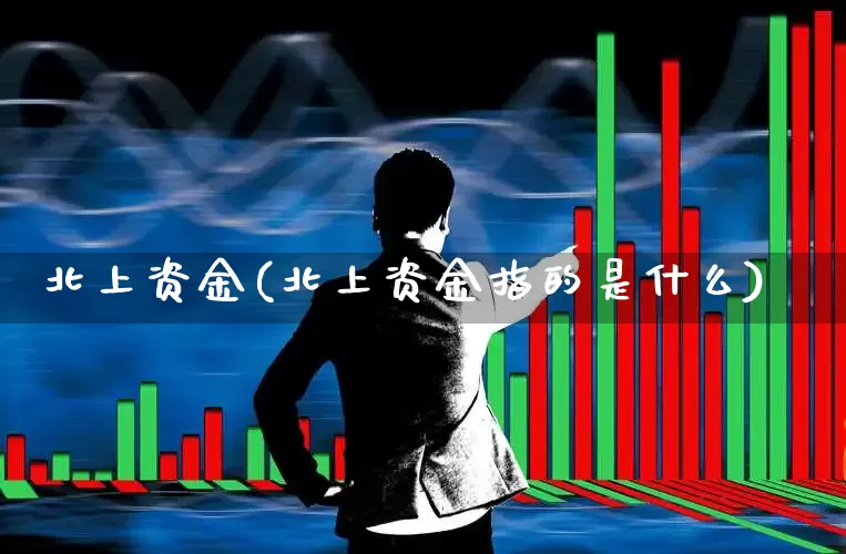 北上资金(北上资金指的是什么)_https://www.haiwangdasha.com_科创板_第1张
