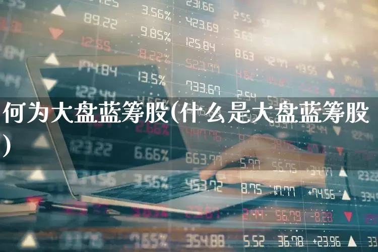 何为大盘蓝筹股(什么是大盘蓝筹股)_https://www.haiwangdasha.com_科创板_第1张