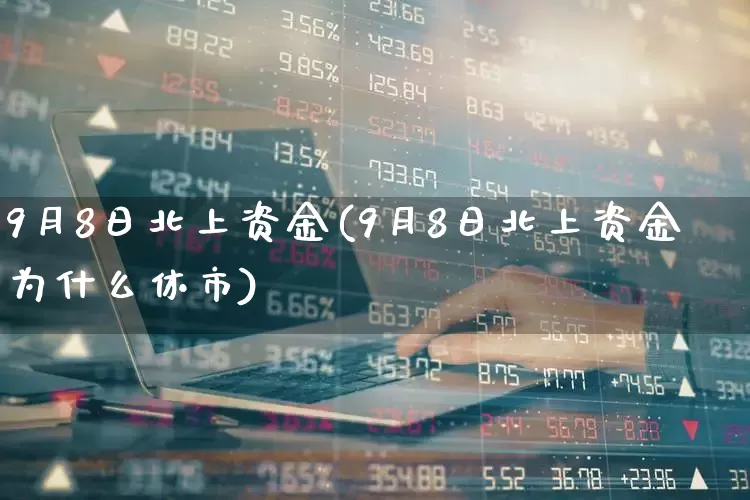 9月8日北上资金(9月8日北上资金为什么休市)_https://www.haiwangdasha.com_深交所_第1张