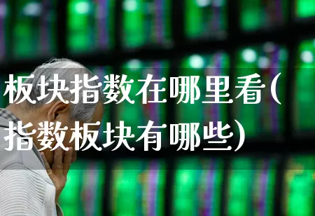 板块指数在哪里看(指数板块有哪些)_https://www.haiwangdasha.com_北交所_第1张
