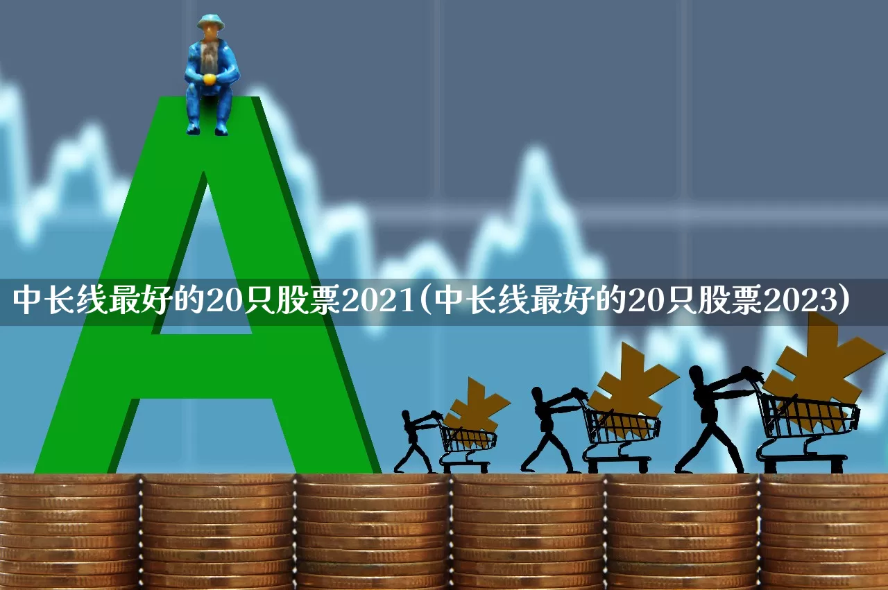 中长线最好的20只股票2021(中长线最好的20只股票2023)_https://www.haiwangdasha.com_创业板_第1张