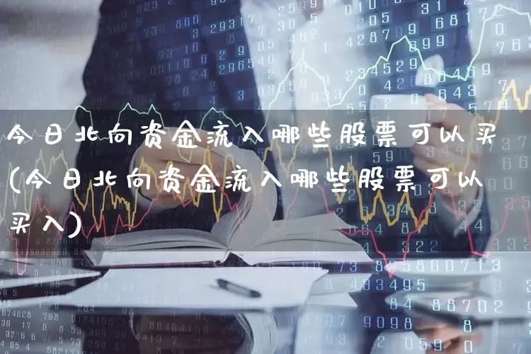 今日北向资金流入哪些股票可以买(今日北向资金流入哪些股票可以买入)_https://www.haiwangdasha.com_上交所_第1张
