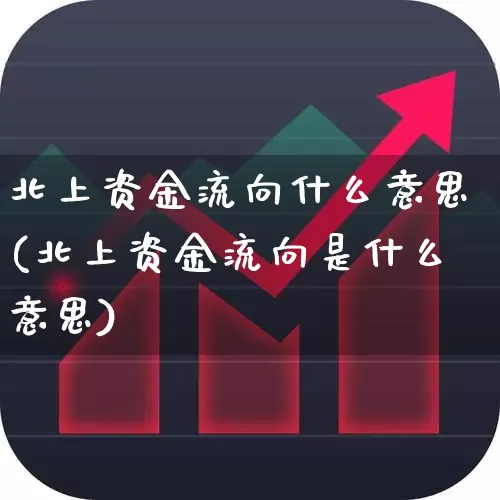 北上资金流向什么意思(北上资金流向是什么意思)_https://www.haiwangdasha.com_北交所_第1张