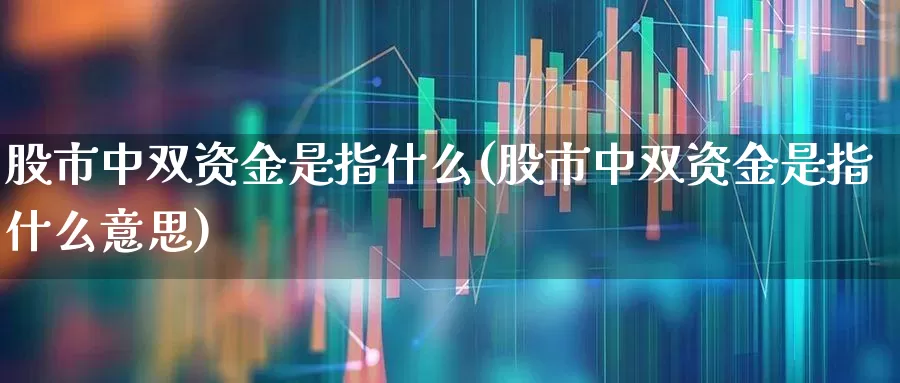 股市中双资金是指什么(股市中双资金是指什么意思)_https://www.haiwangdasha.com_创业板_第1张