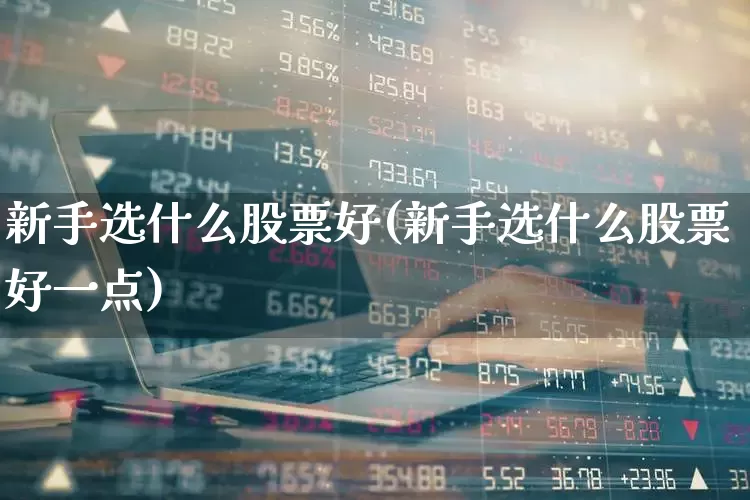 新手选什么股票好(新手选什么股票好一点)_https://www.haiwangdasha.com_深交所_第1张