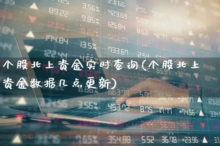 个股北上资金实时查询(个股北上资金数据几点更新)_https://www.haiwangdasha.com_深交所_第1张