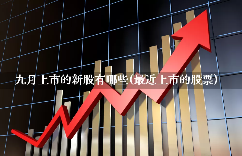 九月上市的新股有哪些(最近上市的股票)_https://www.haiwangdasha.com_科创板_第1张