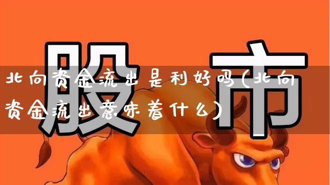 北向资金流出是利好吗(北向资金流出意味着什么)_https://www.haiwangdasha.com_上交所_第1张