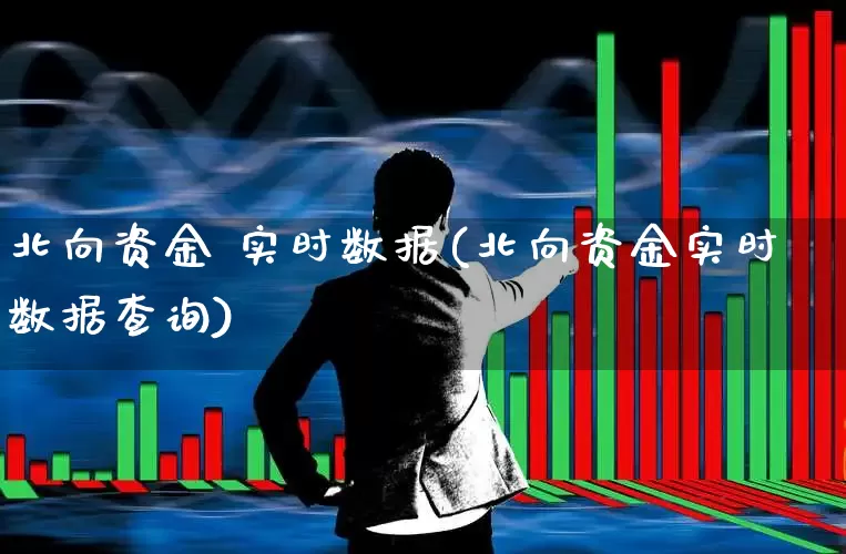 北向资金 实时数据(北向资金实时数据查询)_https://www.haiwangdasha.com_科创板_第1张