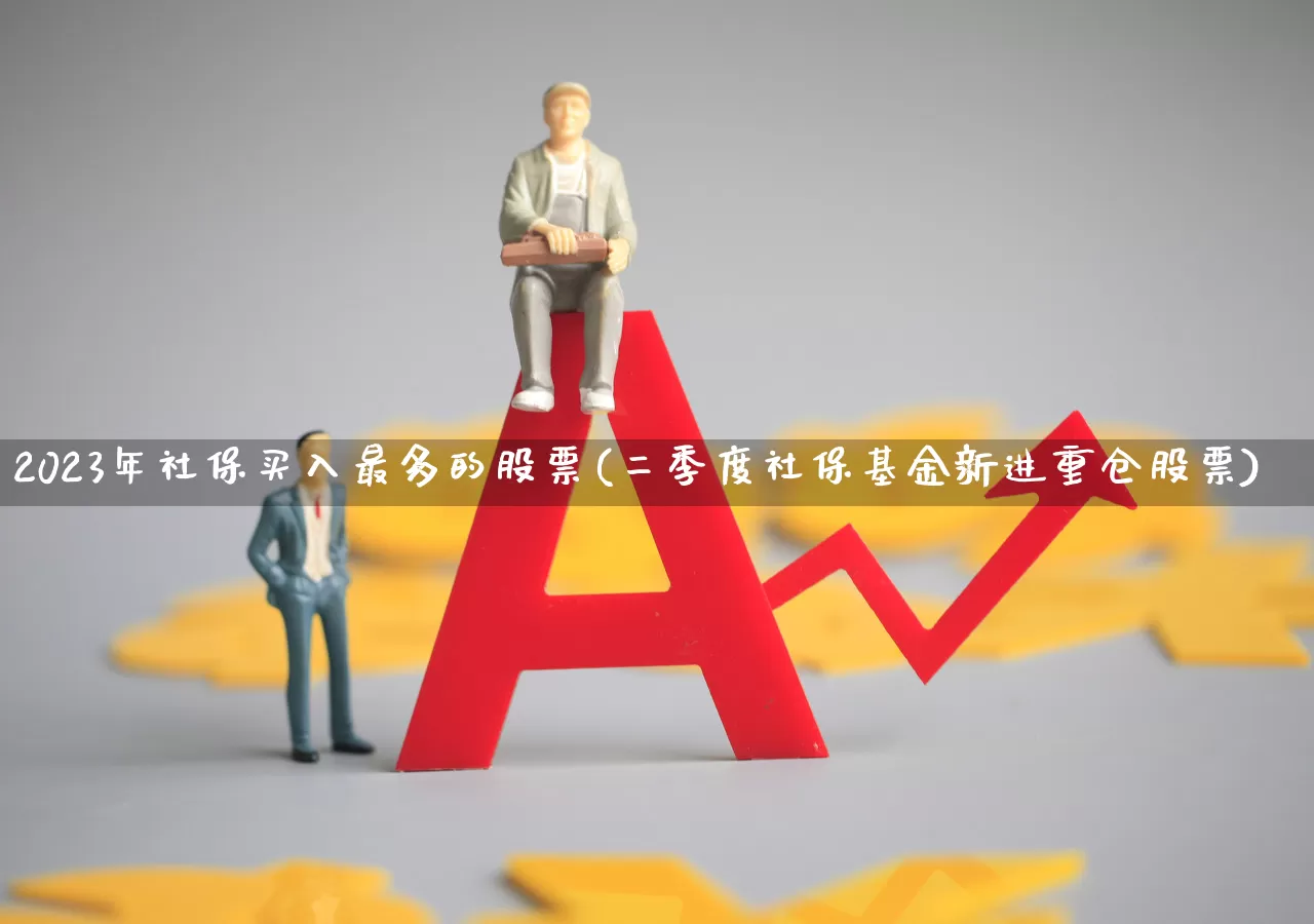 2023年社保买入最多的股票(二季度社保基金新进重仓股票)_https://www.haiwangdasha.com_深交所_第1张