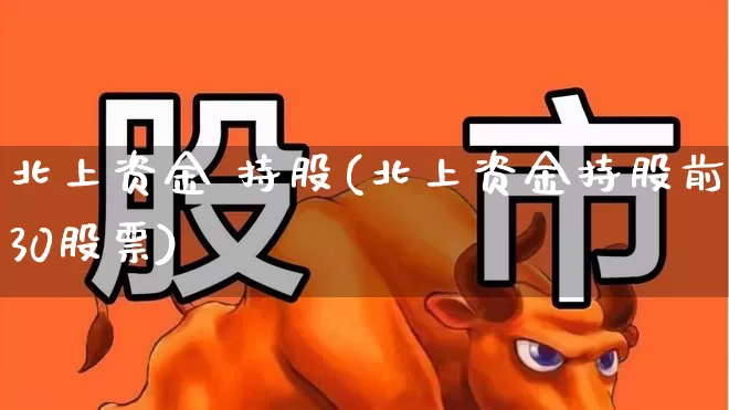 北上资金 持股(北上资金持股前30股票)_https://www.haiwangdasha.com_深交所_第1张