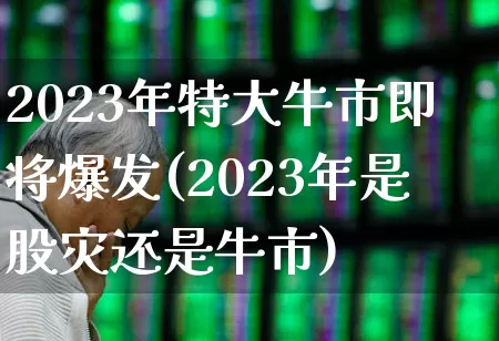 2023年特大牛市即将爆发(2023年是股灾还是牛市)_https://www.haiwangdasha.com_科创板_第1张