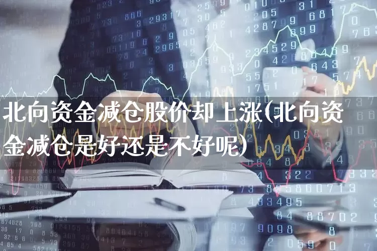 北向资金减仓股价却上涨(北向资金减仓是好还是不好呢)_https://www.haiwangdasha.com_深交所_第1张