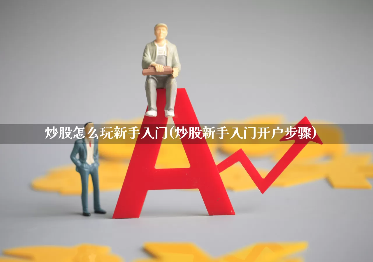 炒股怎么玩新手入门(炒股新手入门开户步骤)_https://www.haiwangdasha.com_科创板_第1张