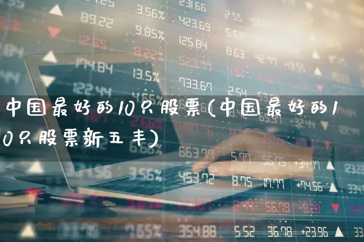 中国最好的10只股票(中国最好的10只股票新五丰)_https://www.haiwangdasha.com_创业板_第1张