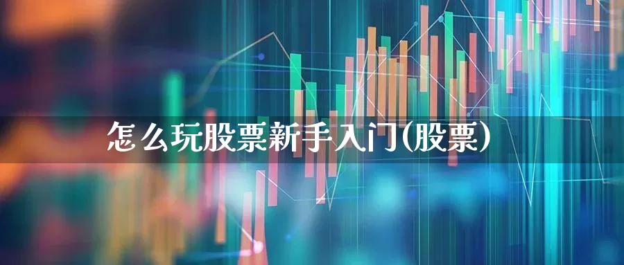 怎么玩股票新手入门(股票)_https://www.haiwangdasha.com_北交所_第1张