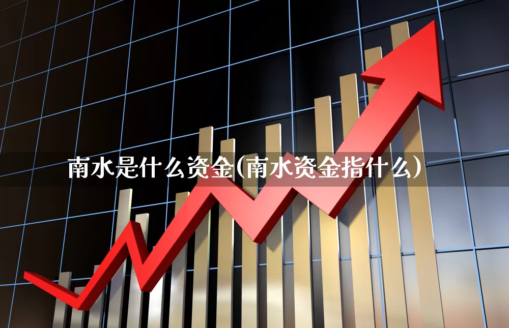 南水是什么资金(南水资金指什么)_https://www.haiwangdasha.com_科创板_第1张