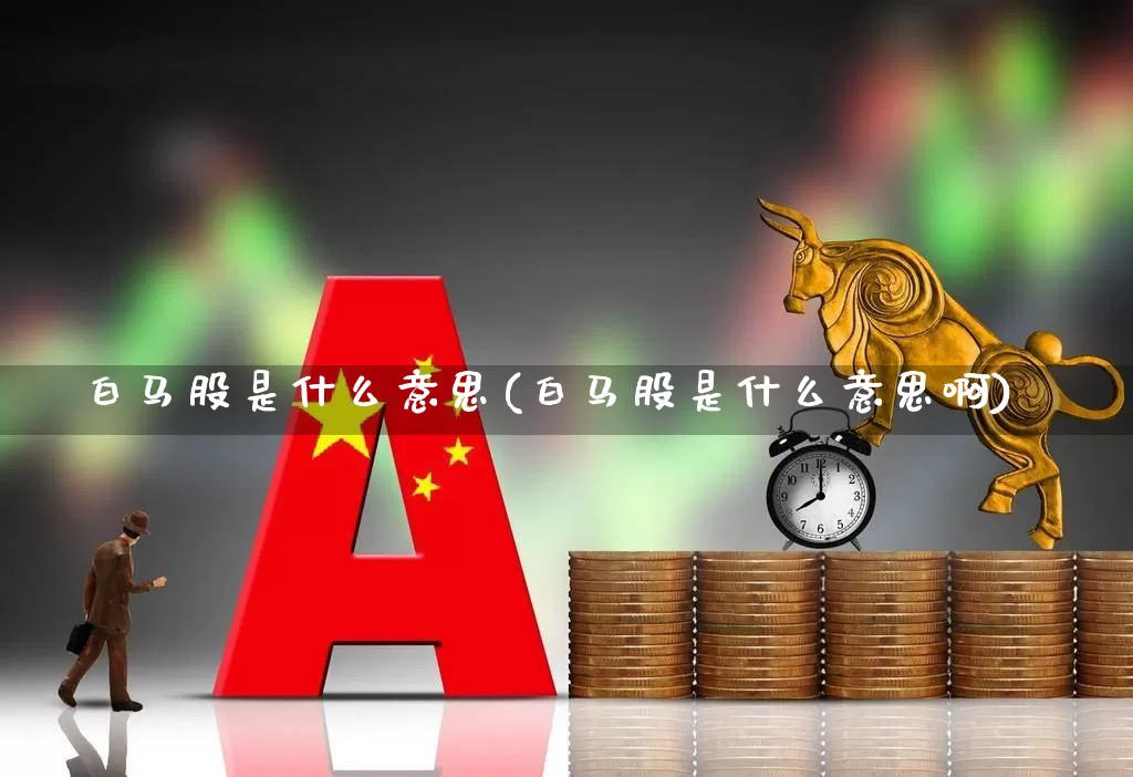 白马股是什么意思(白马股是什么意思啊)_https://www.haiwangdasha.com_科创板_第1张