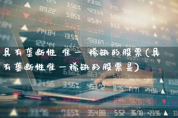 具有垄断性 唯一 稀缺的股票(具有垄断性唯一稀缺的股票是)_https://www.haiwangdasha.com_深交所_第1张