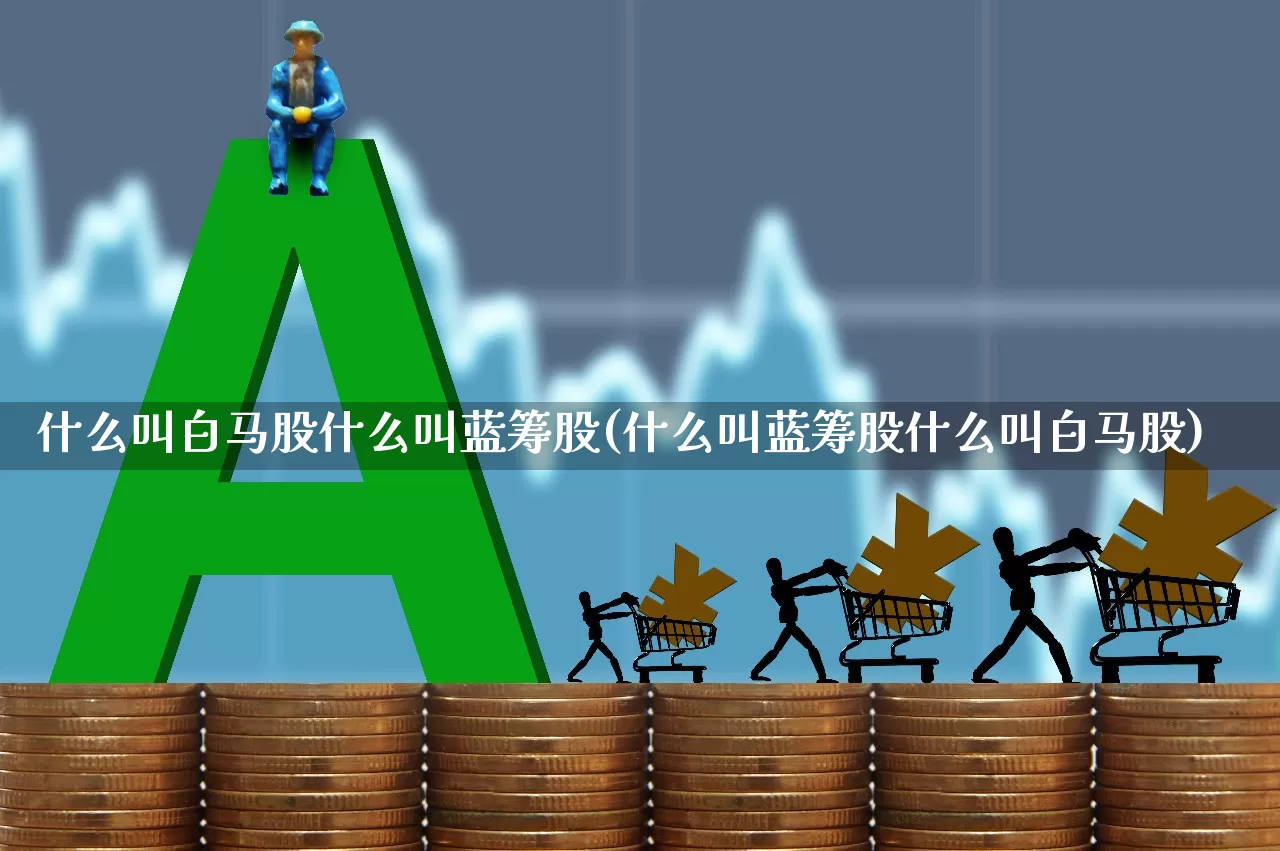 什么叫白马股什么叫蓝筹股(什么叫蓝筹股什么叫白马股)_https://www.haiwangdasha.com_深交所_第1张