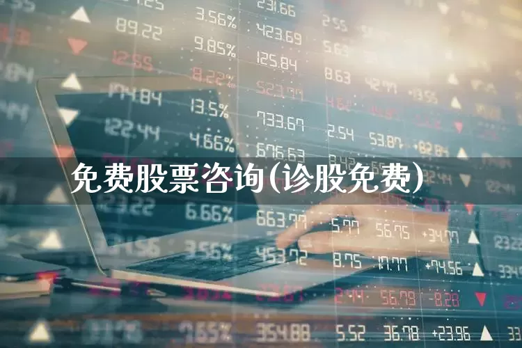 免费股票咨询(诊股免费)_https://www.haiwangdasha.com_深交所_第1张