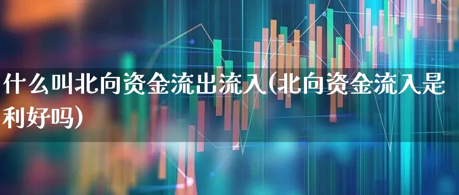 什么叫北向资金流出流入(北向资金流入是利好吗)_https://www.haiwangdasha.com_北交所_第1张