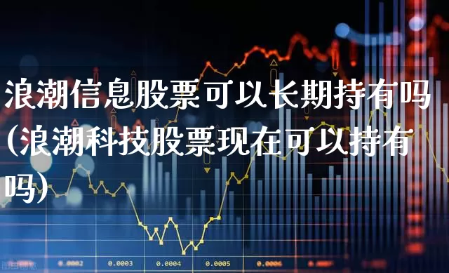 浪潮信息股票可以长期持有吗(浪潮科技股票现在可以持有吗)_https://www.haiwangdasha.com_上交所_第1张