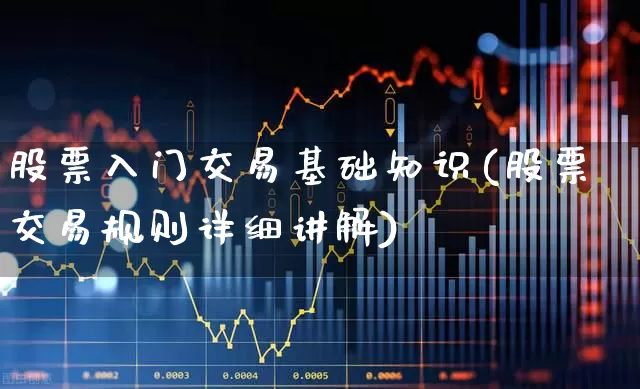 股票入门交易基础知识(股票交易规则详细讲解)_https://www.haiwangdasha.com_创业板_第1张