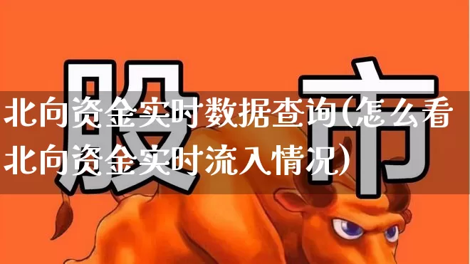 北向资金实时数据查询(怎么看北向资金实时流入情况)_https://www.haiwangdasha.com_北交所_第1张