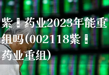 紫鑫药业2023年能重组吗(002118紫鑫药业重组)_https://www.haiwangdasha.com_北交所_第1张