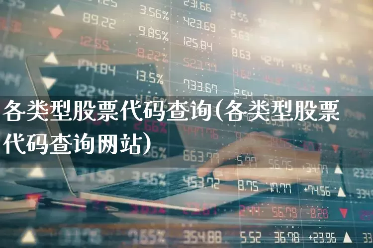 各类型股票代码查询(各类型股票代码查询网站)_https://www.haiwangdasha.com_北交所_第1张