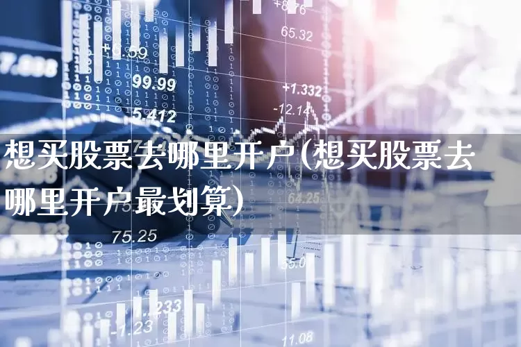 想买股票去哪里开户(想买股票去哪里开户最划算)_https://www.haiwangdasha.com_上交所_第1张