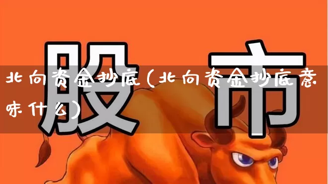 北向资金抄底(北向资金抄底意味什么)_https://www.haiwangdasha.com_科创板_第1张