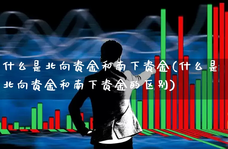 什么是北向资金和南下资金(什么是北向资金和南下资金的区别)_https://www.haiwangdasha.com_深交所_第1张