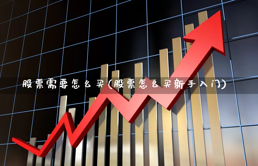 股票需要怎么买(股票怎么买新手入门)_https://www.haiwangdasha.com_北交所_第1张