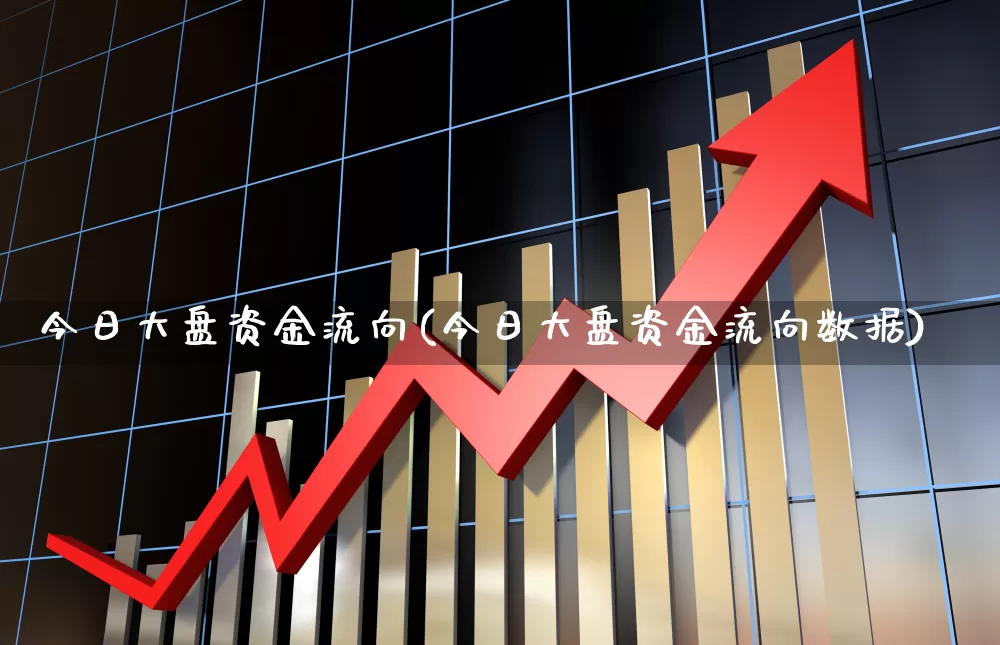 今日大盘资金流向(今日大盘资金流向数据)_https://www.haiwangdasha.com_深交所_第1张